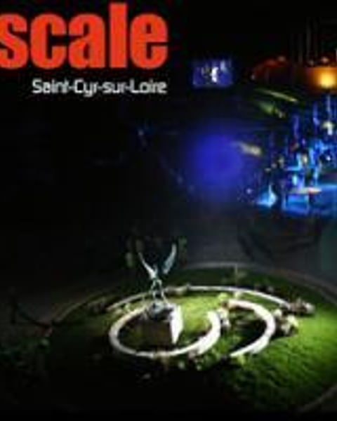 L'escale Saint Cyr sur Loire