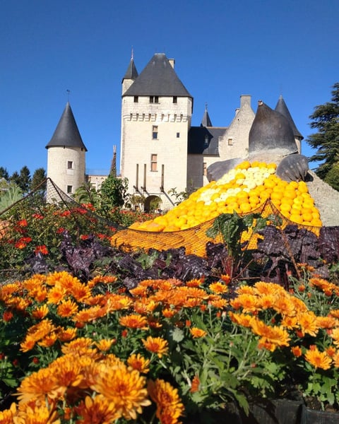 Fête des fleurs d'Automne