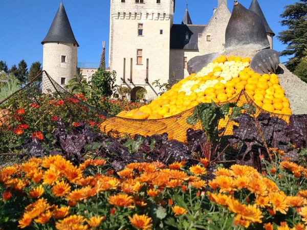 Fête des fleurs d'Automne