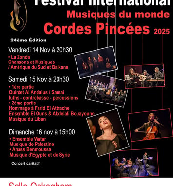 Festival Internationales de Cordes Pincées Affiche 2025