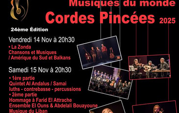 Festival Internationales de Cordes Pincées