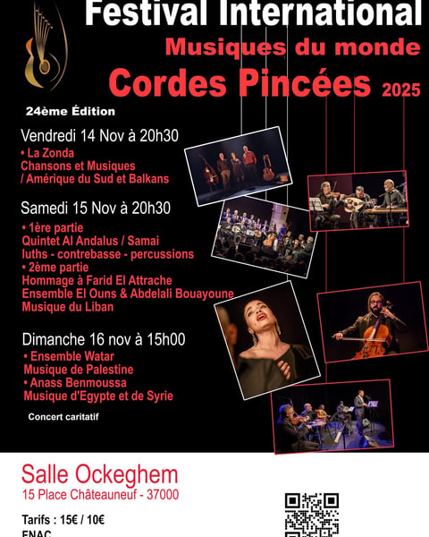 Festival Internationales de Cordes Pincées Affiche 2025