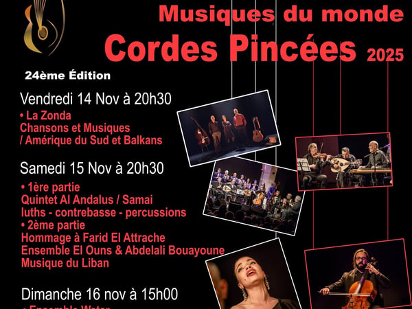 Festival Internationales de Cordes Pincées