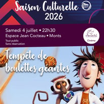 Tempête de boulettes géantes