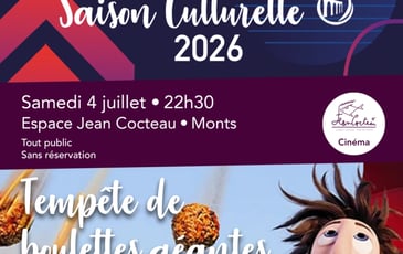 Tempête de boulettes géantes
