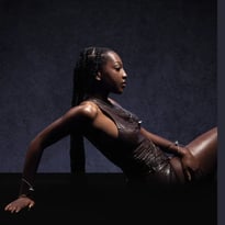 Ebony 1re Partie