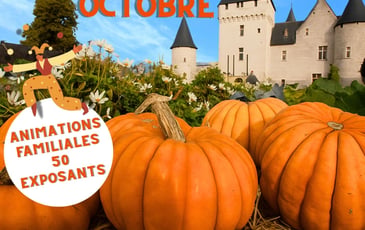 Fête de la Citrouille au Château du Rivau