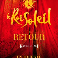 Le Roi Soleil
