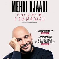 Medhi Djaadi