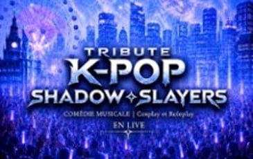 K-Pop Shadow Slayers Tournée
