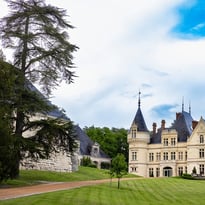 Visite guidée du parc de la Bourdaisière