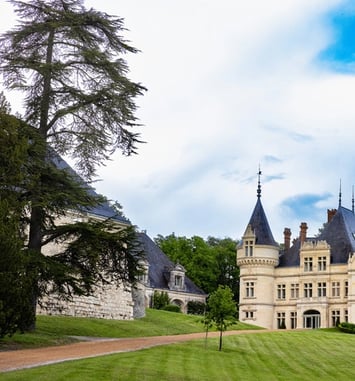 Visite guidée du parc de la Bourdaisière