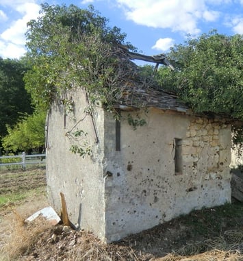 A la découverte des dernières loges de vigne à Nouzilly