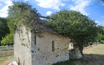 A la découverte des dernières loges de vigne à Nouzilly