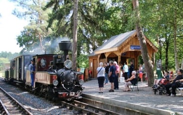 Parcours en train à vapeur avec visite du dépôt (matériels roulants et exposition de modélisme)