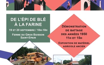 De l'épi de blé à la farine