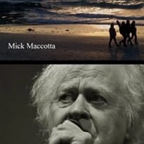 Mick Maccotta en concert acoustique