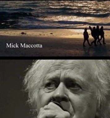 Mick Maccotta en concert acoustique