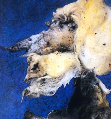 Exposition Jérôme Gourdon - Sol à seul : « Tout un monde à mes pieds »