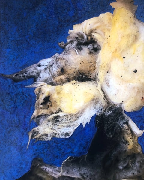 Exposition Jérôme Gourdon - Sol à seul : « Tout un monde à mes pieds »