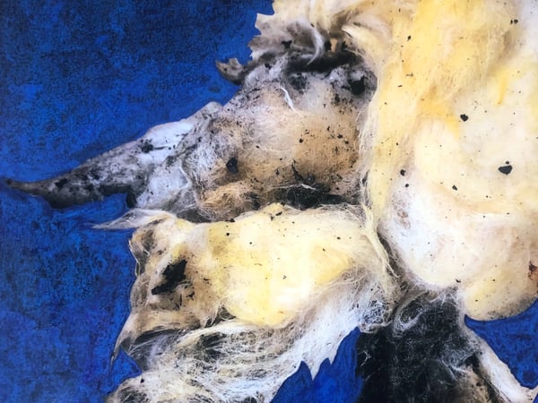 Exposition Jérôme Gourdon - Sol à seul : « Tout un monde à mes pieds »