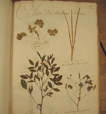 Visite guidée du fonds ancien
