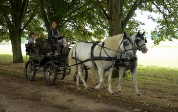 Rallye équestre