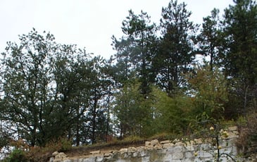 Visite guidée du site troglodytique de Mauvières