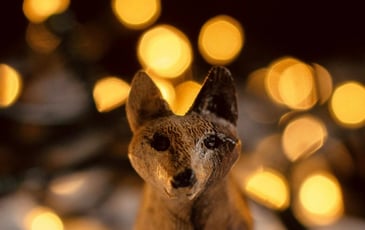 Pierre et le Loup