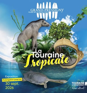 Exposition temporaire « La Touraine Tropicale, il y a 15 millions d'années vivaient des animaux extraordinaires »