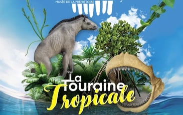 Exposition temporaire « La Touraine Tropicale, il y a 15 millions d'années vivaient des animaux extraordinaires »