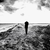 Dominique A — Tournée