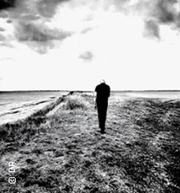 Dominique A — Tournée