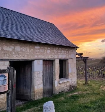 À la découverte de la double vie du coteau, de la loge de vigne des Marquises et du Conservatoire des variétés anciennes du Bourgueillois.