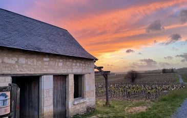 À la découverte de la double vie du coteau, de la loge de vigne des Marquises et du Conservatoire des variétés anciennes du Bourgueillois.