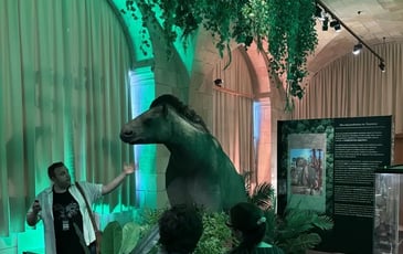 Découverte de l'exposition temporaire « La Touraine tropicale »