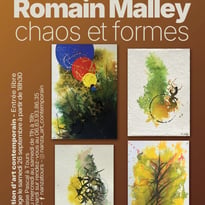 Exposition "Chaos et Formes" de Romain Malley