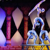 Rêves de Cirque