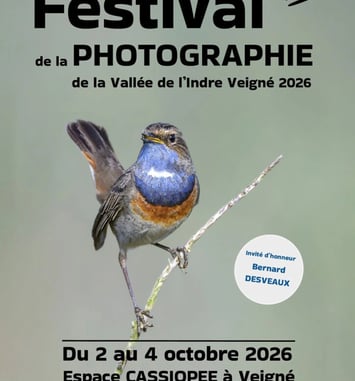 Festival de la photographie