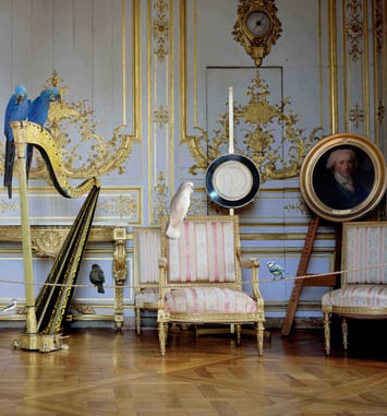 Karen Knorr habite le château
