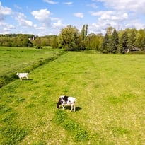 Beaux Lieux 2026
