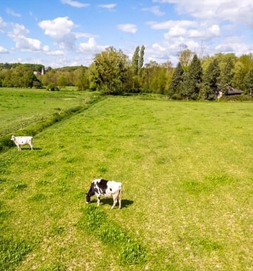 Beaux Lieux 2026