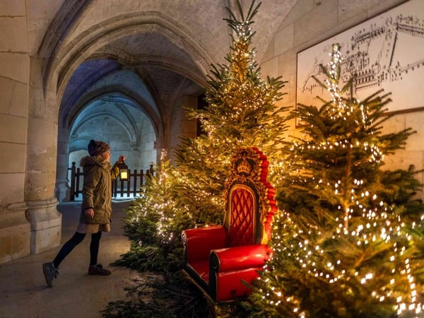 Noël au Pays des Châteaux : Le Noël royal des animaux !