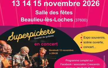 Concert Quatuor "Les superpickers"