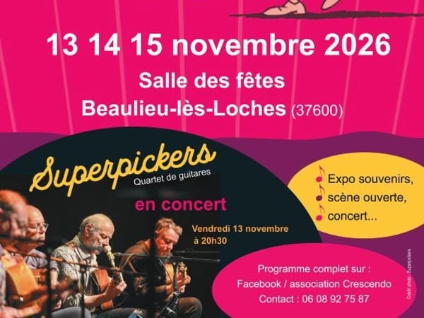 Concert Quatuor "Les superpickers"