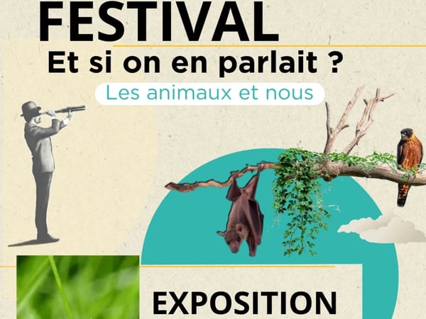 Exposition sur les insectes