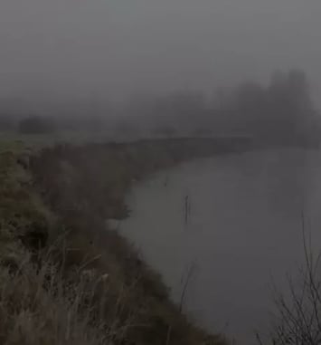 Nebula liger : un fleuve à soi