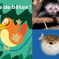 Exposition Drôles de bêtes !