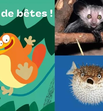 Exposition Drôles de bêtes !