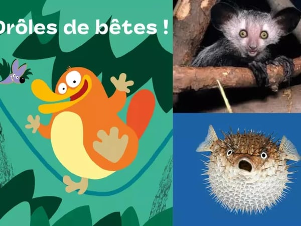Exposition Drôles de bêtes !